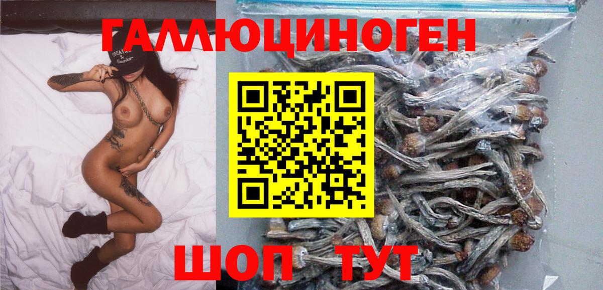 Галлюциногенные грибы GOLDEN TEACHER Киржач