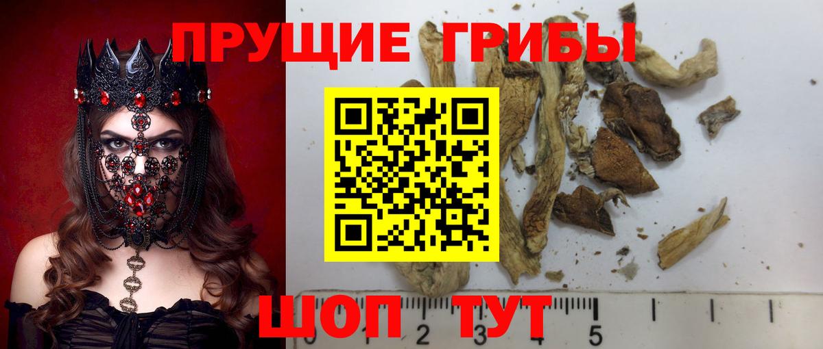 Галлюциногенные грибы Magic Shrooms  Вход с VPN  Псилоцибиновые грибы мицелий  Киржач 